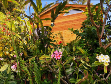 15-2745 Kahala St - Photo 2 of 50