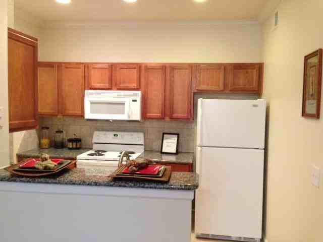 Farm to Market Road 1488 #111h