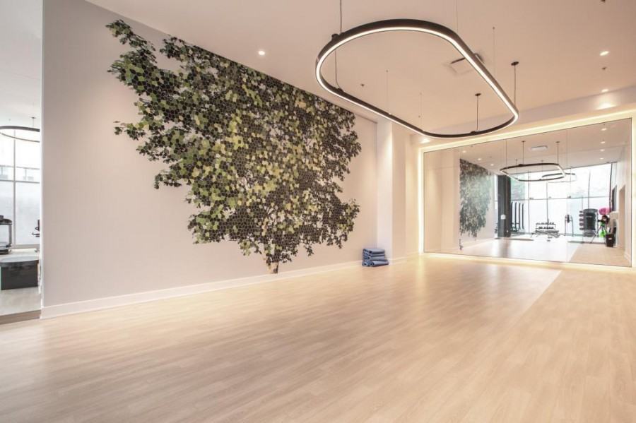 2300 Rue Tupper #802