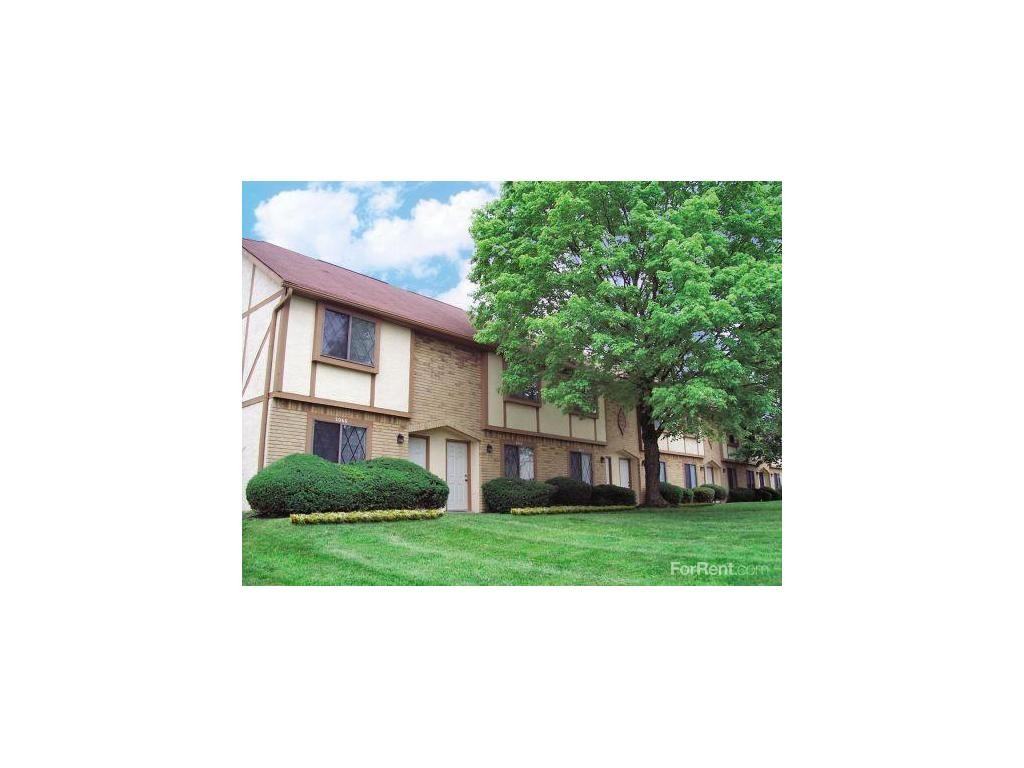 Sawmill Ravine - Photo 3 of 3