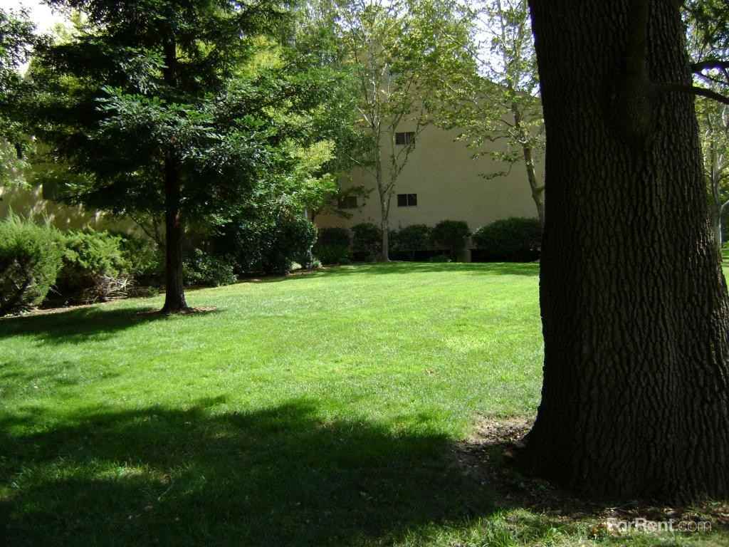 Woodside Creek Apartments - Photo 2 of 13