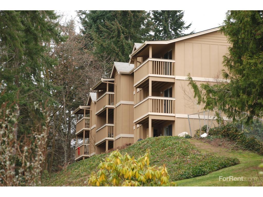 Conifer Woods - Photo 2 of 19