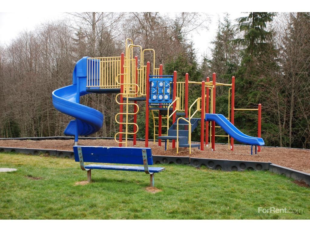 Conifer Woods - Photo 3 of 19