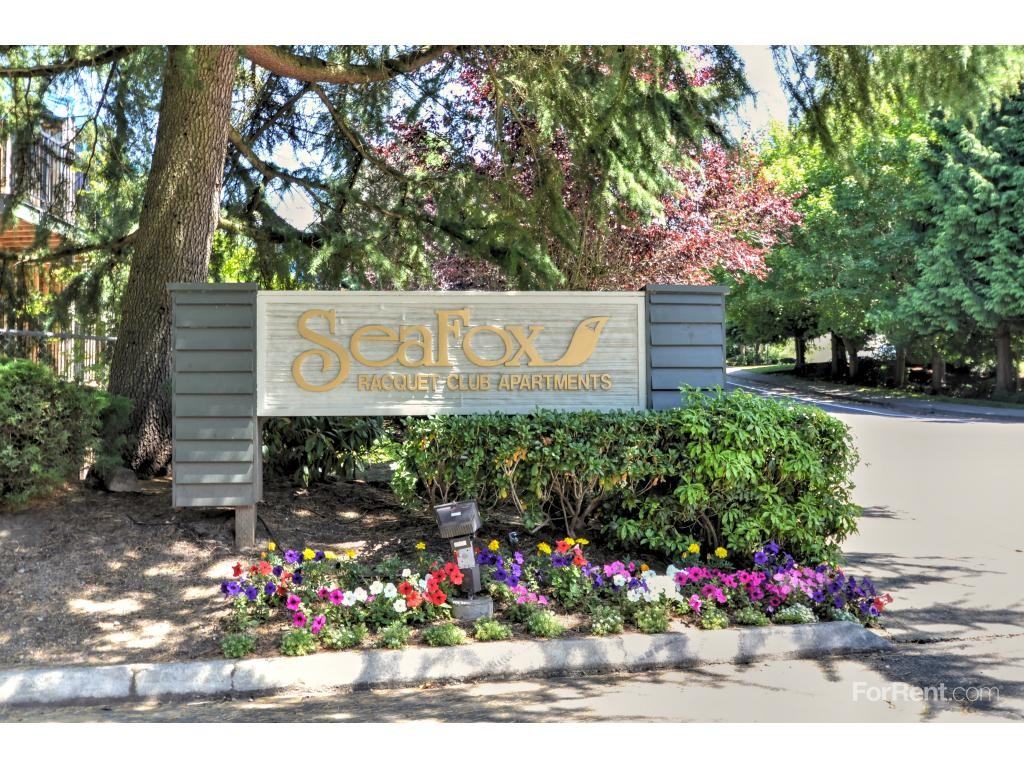 Sea Fox - Photo 2 of 3