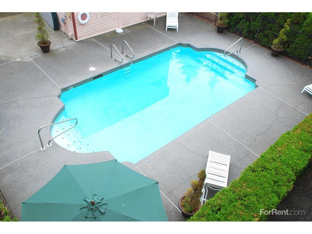 Sea Fox - Photo 3 of 3