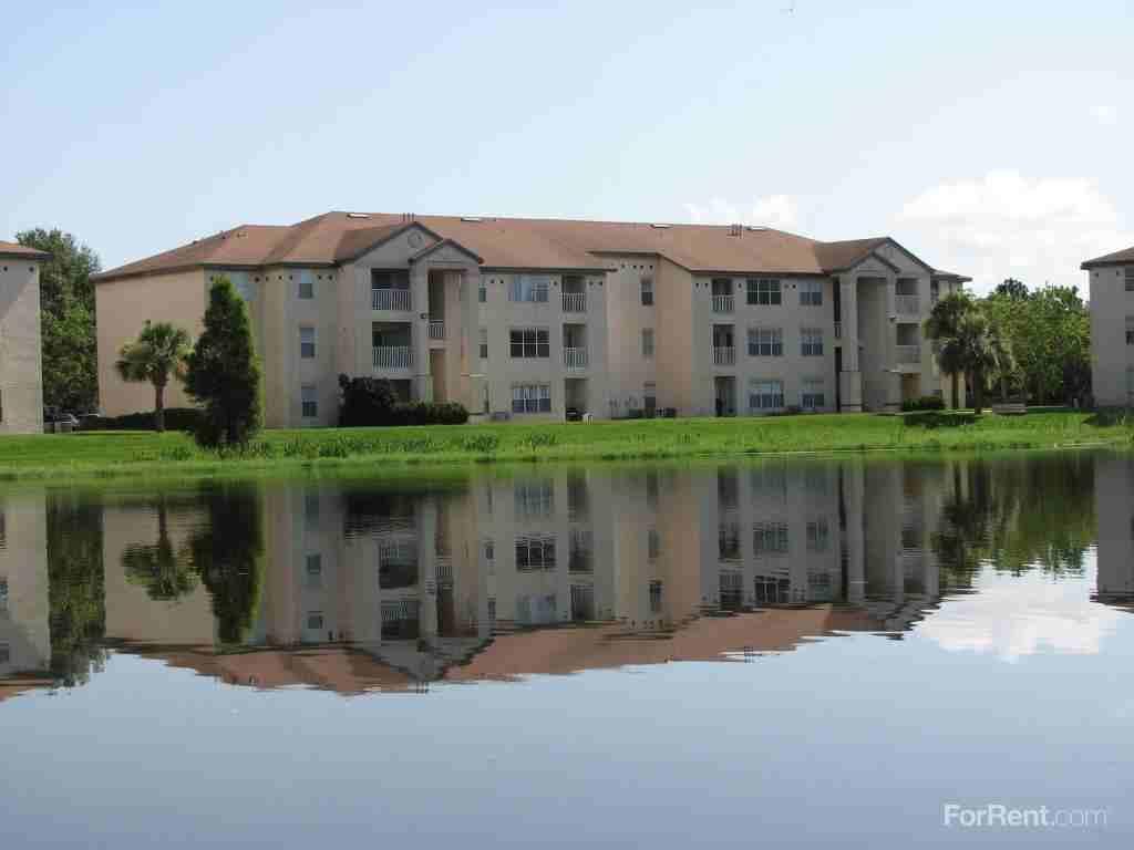 Reflections - Photo 2 of 20