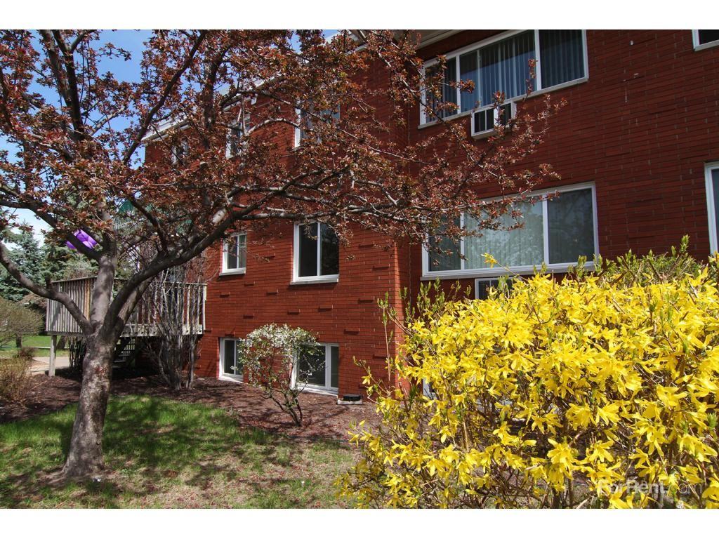 Covington Court - Photo 2 of 19