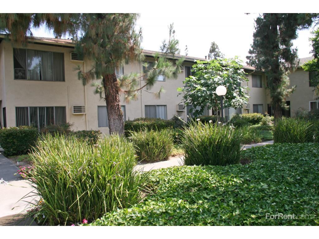 King Of Spain - Photo 2 of 19