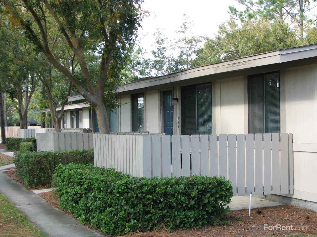 Pine Barrens - Photo 2 of 20