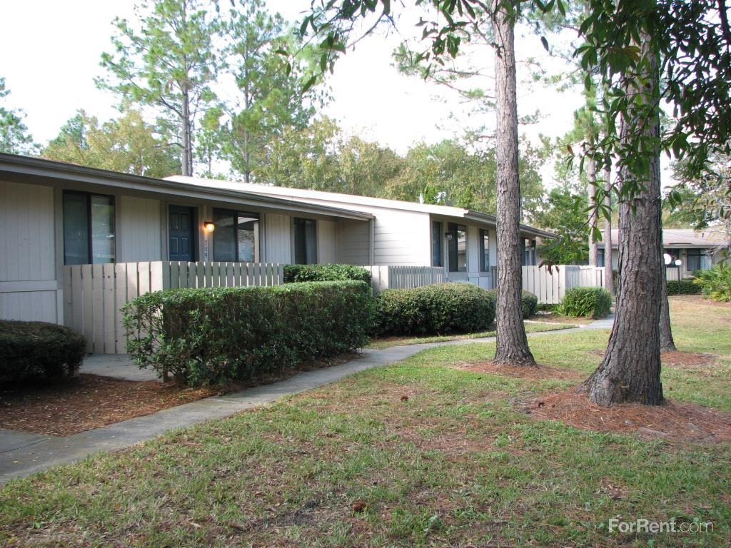 Pine Barrens - Photo 3 of 20