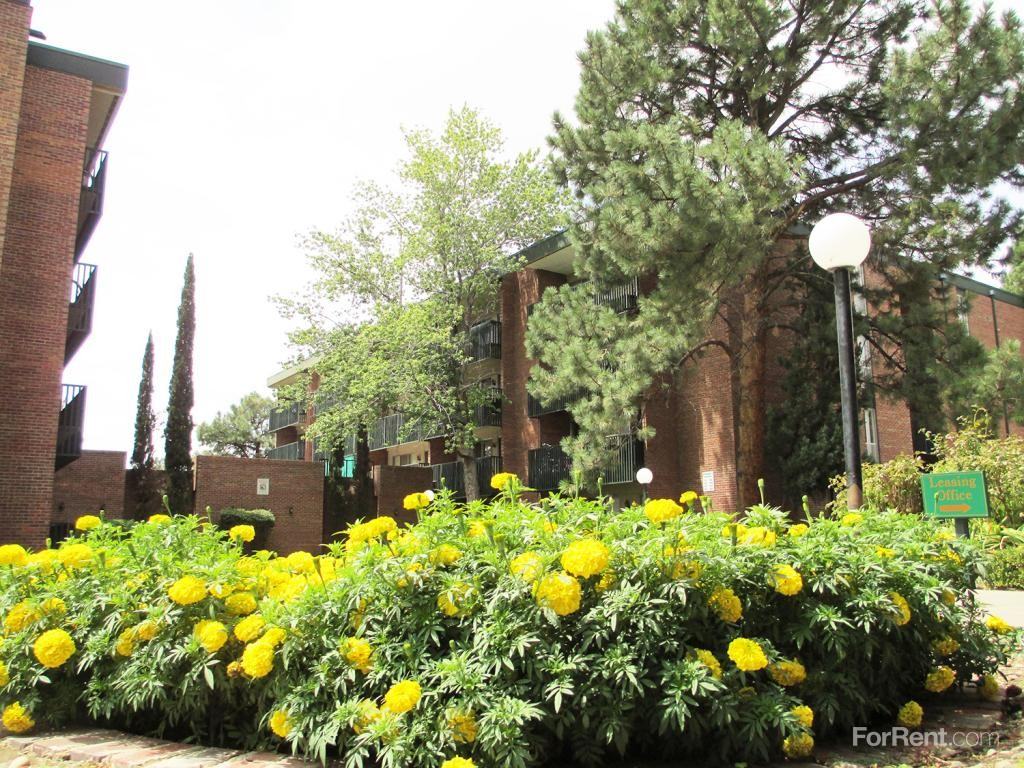 La Vida Buena - Photo 2 of 20