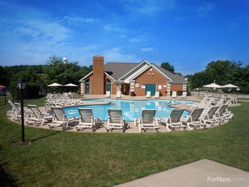 Yorkshire Woods - Photo 2 of 18