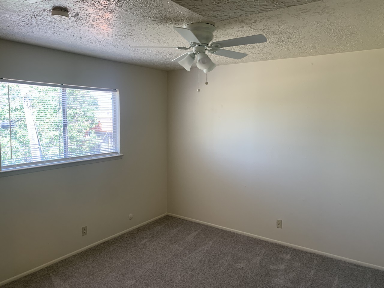 1431 Girard Blvd NE - Photo 3 of 17