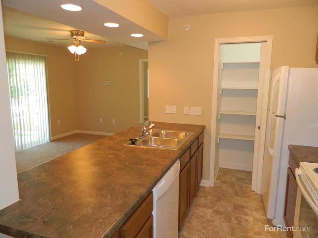 Ponderosa Pines - Photo 3 of 19