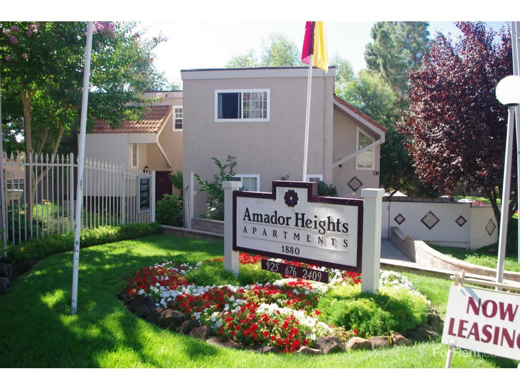 Amador Heights - Photo 2 of 19