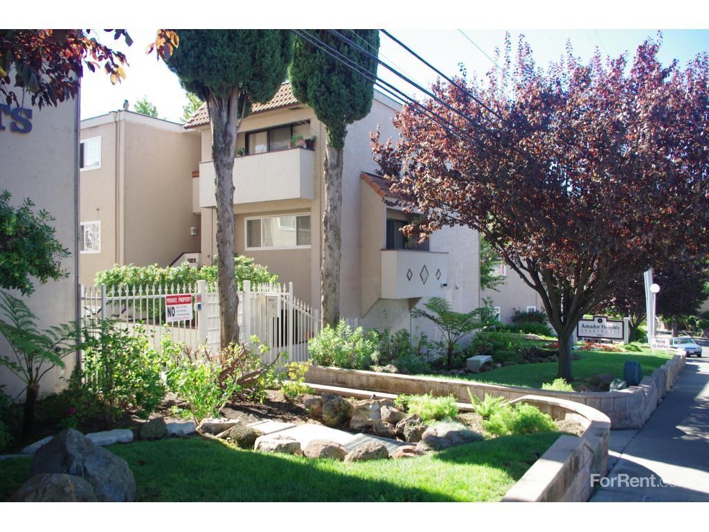 Amador Heights - Photo 3 of 19