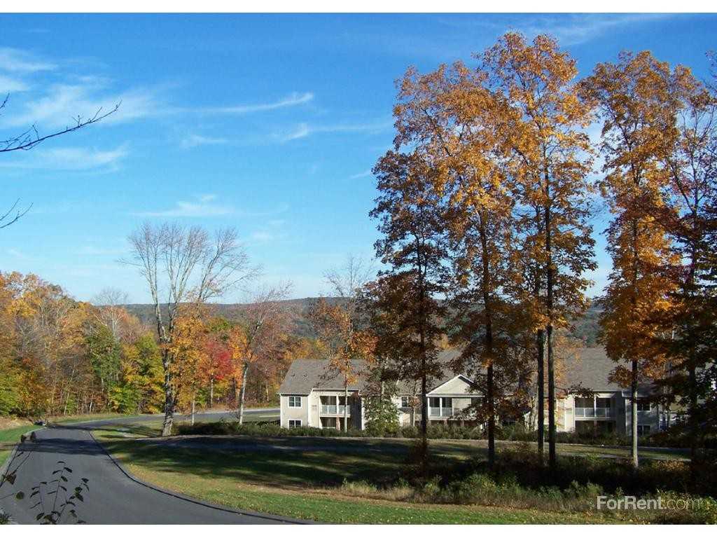 Ivy Woods - Photo 2 of 19