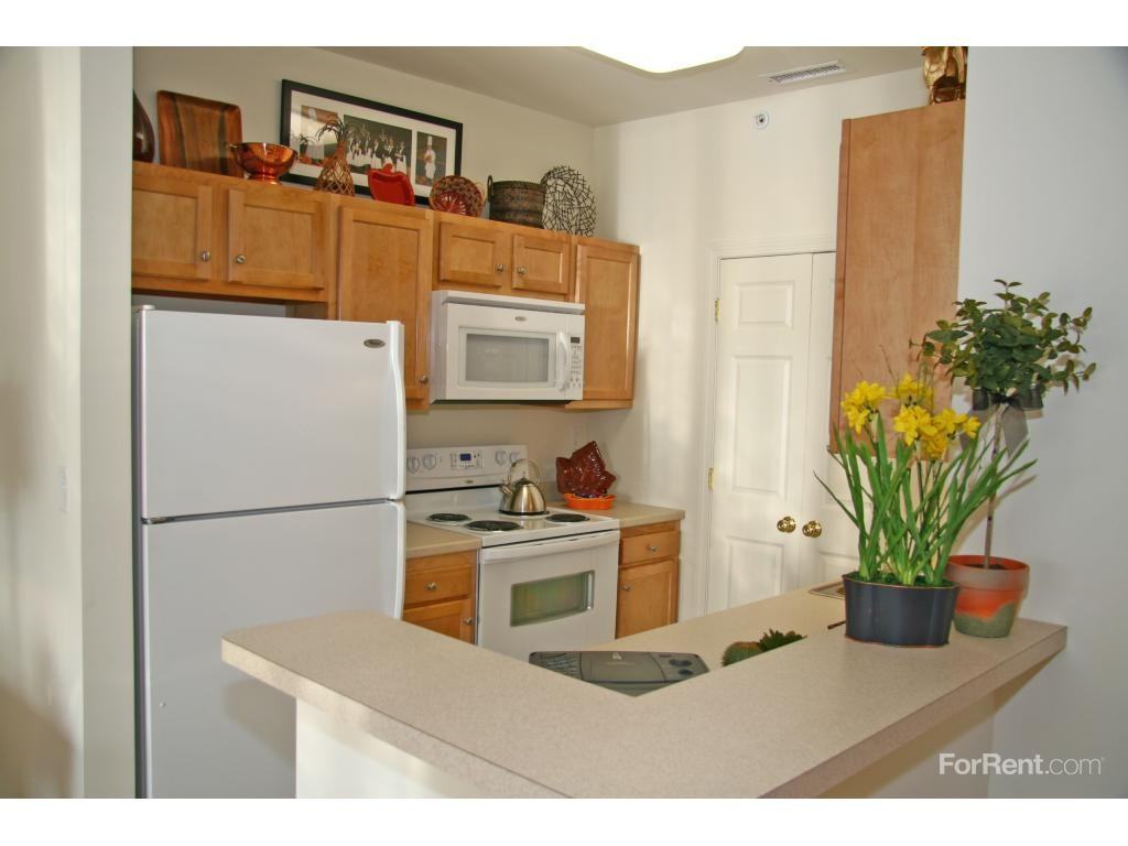 Ivy Woods - Photo 3 of 19