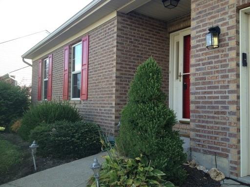 10052 Irish Way - Photo 3 of 21