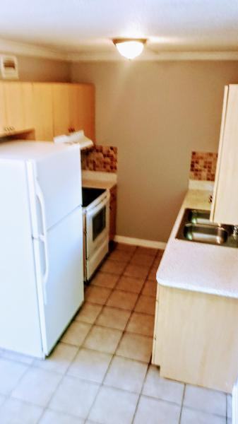 2241 Euclid Ave Apt 1 #Apt 1