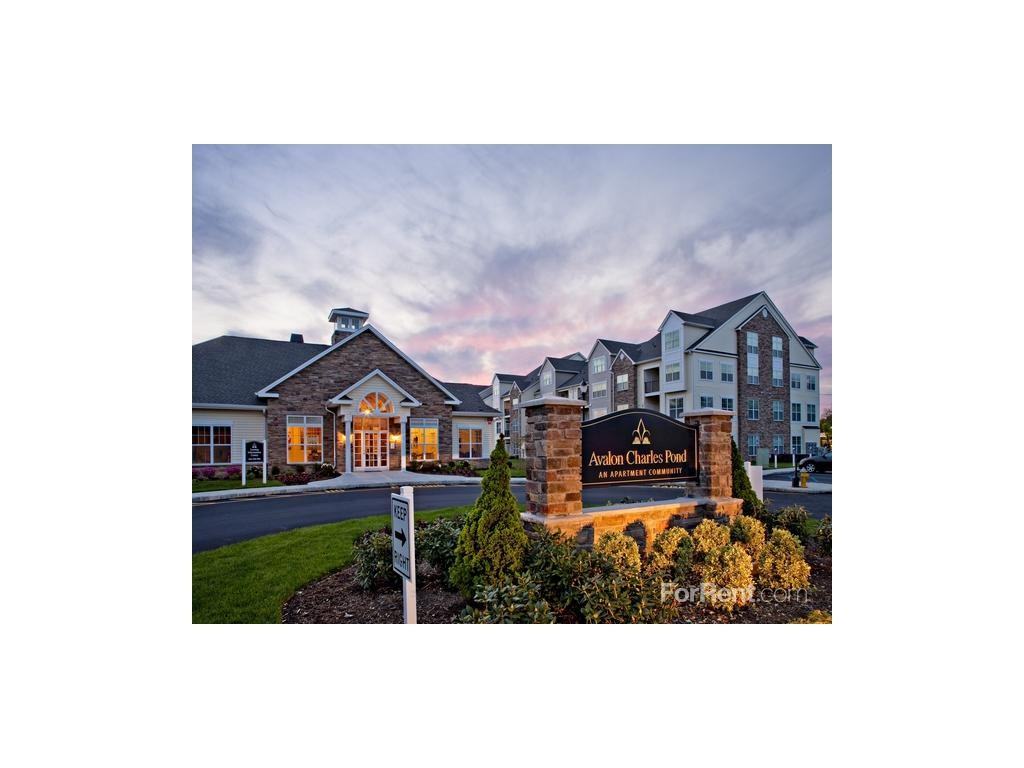 Avalon Charles Pond - Photo 3 of 3