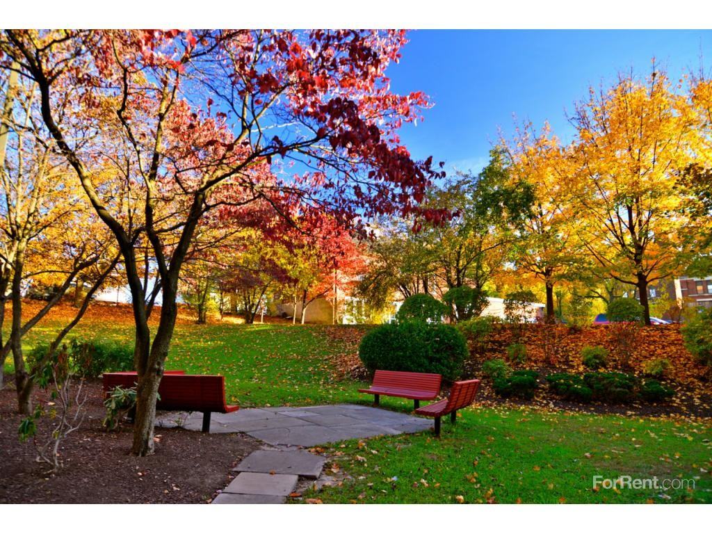 250 Main Apartments - Photo 3 of 20