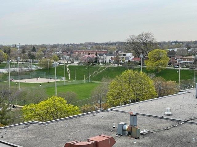 11 Christie Street #501