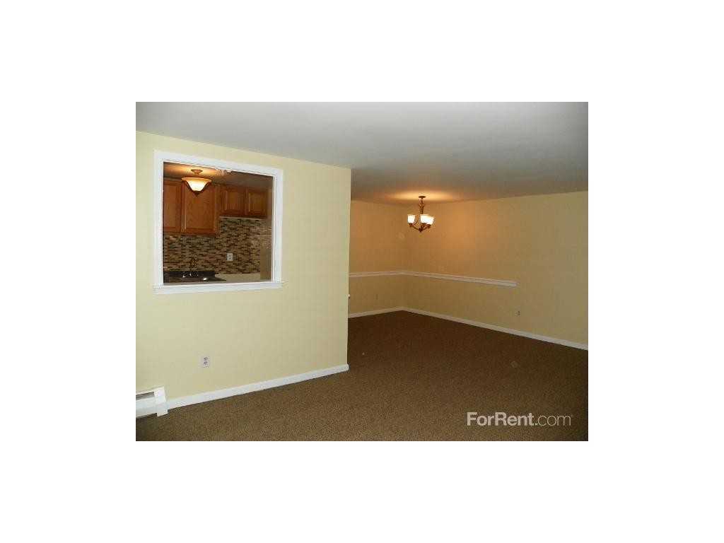 Green Forest - Photo 3 of 3