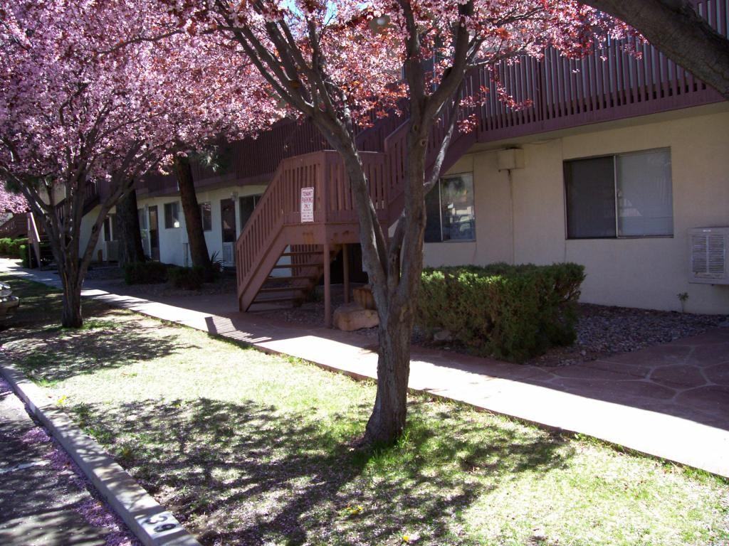 Bordermans Reef Apartments 11201 Lomas Blvd NE, Albuquerque, NM 87112