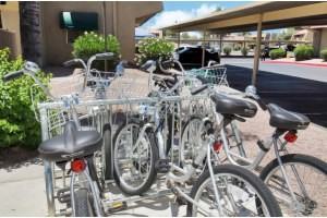 Scottsdale Springs - Photo 3 of 51