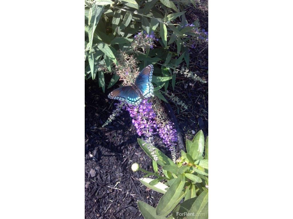 Village Green Townhomes - Photo 2 of 8