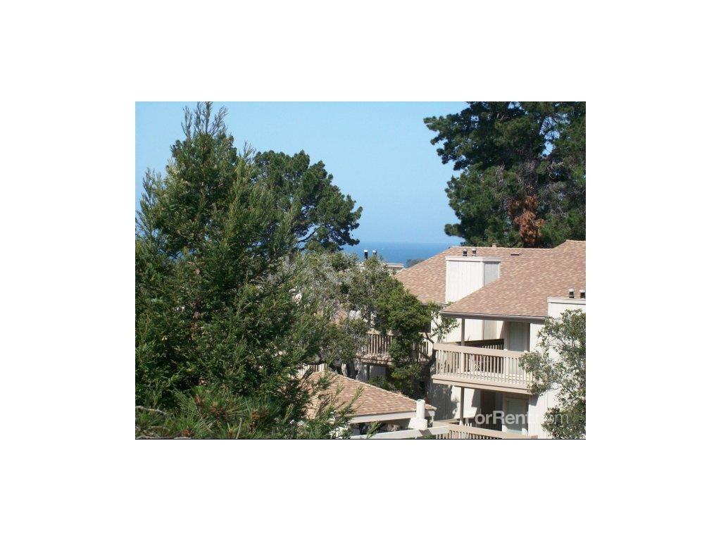 Footprints on the Bay - Photo 2 of 13