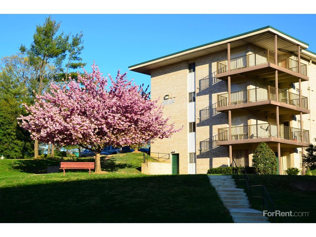 Oak Hill Apartments - Photo 3 of 17