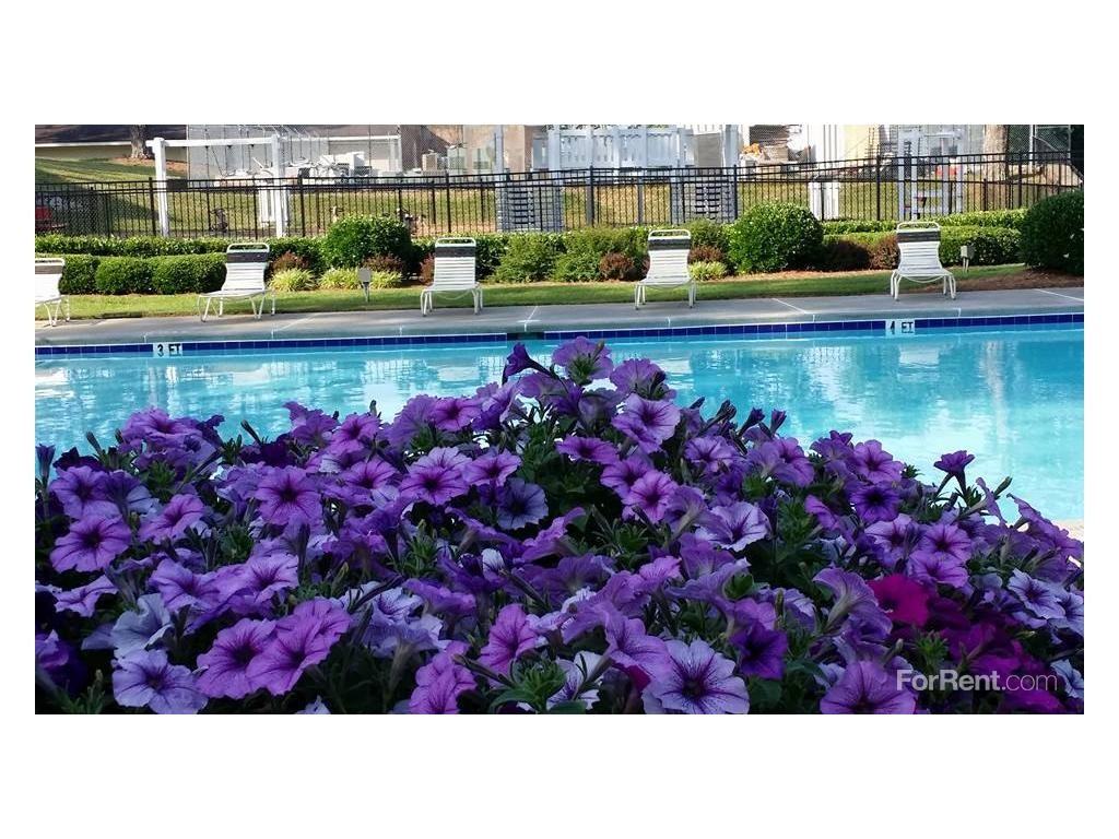 Legacy Apartments - Photo 3 of 19