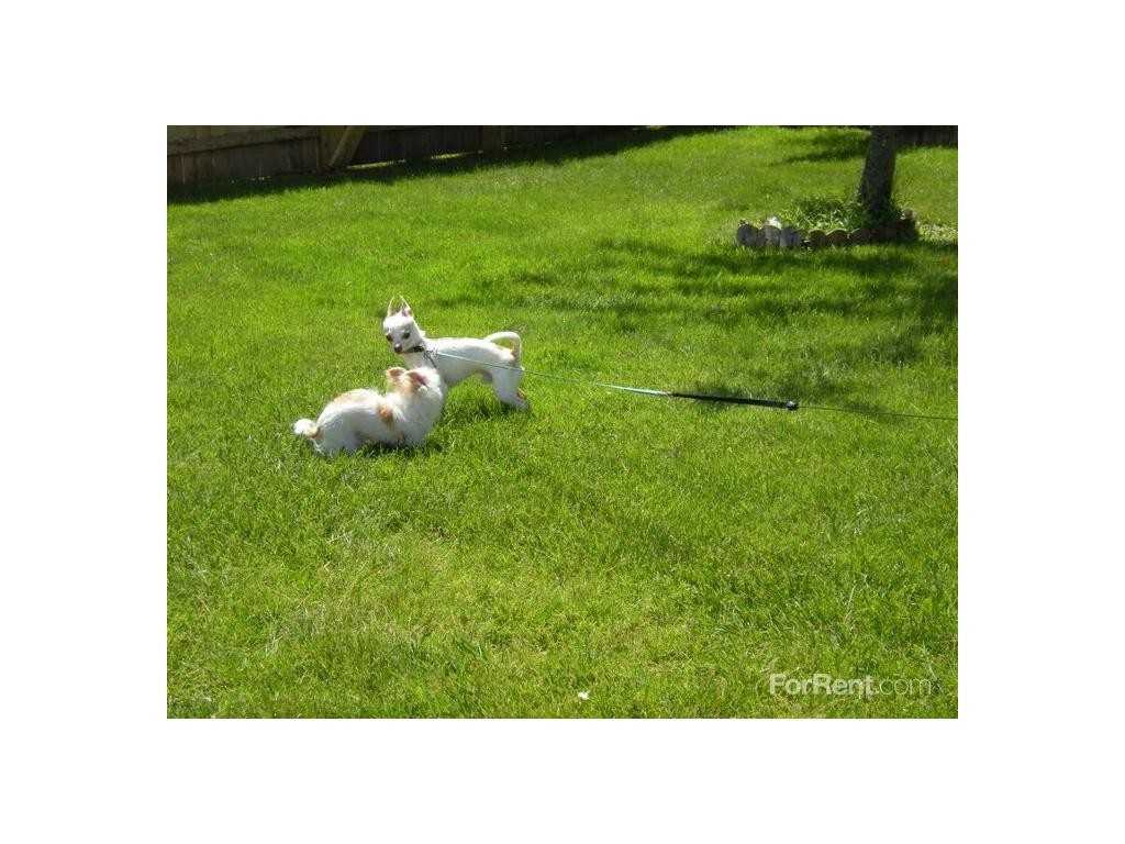 The River View Apartments - Photo 3 of 19