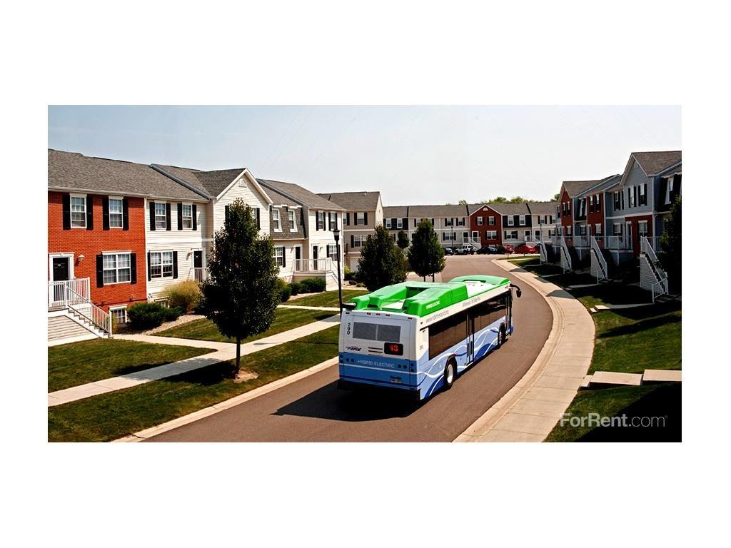 Copper Beech - Photo 2 of 8