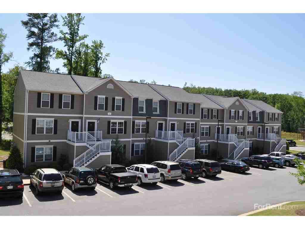 Copper Beech - Photo 3 of 8