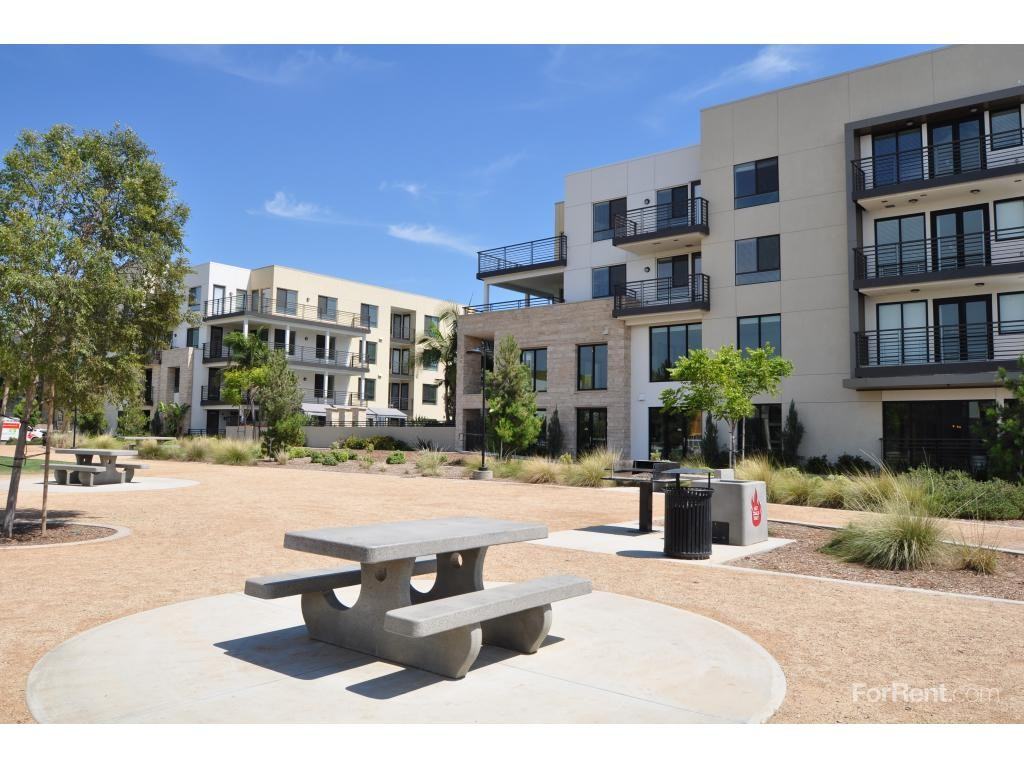 Ariva - Photo 2 of 3