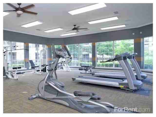 Limestone - Photo 2 of 31