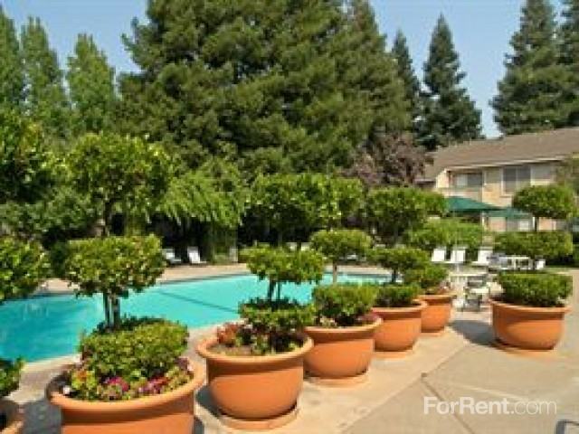 Blairmore Apartments - Photo 3 of 35