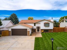 1319 Alpine St - Photo 1 of 1