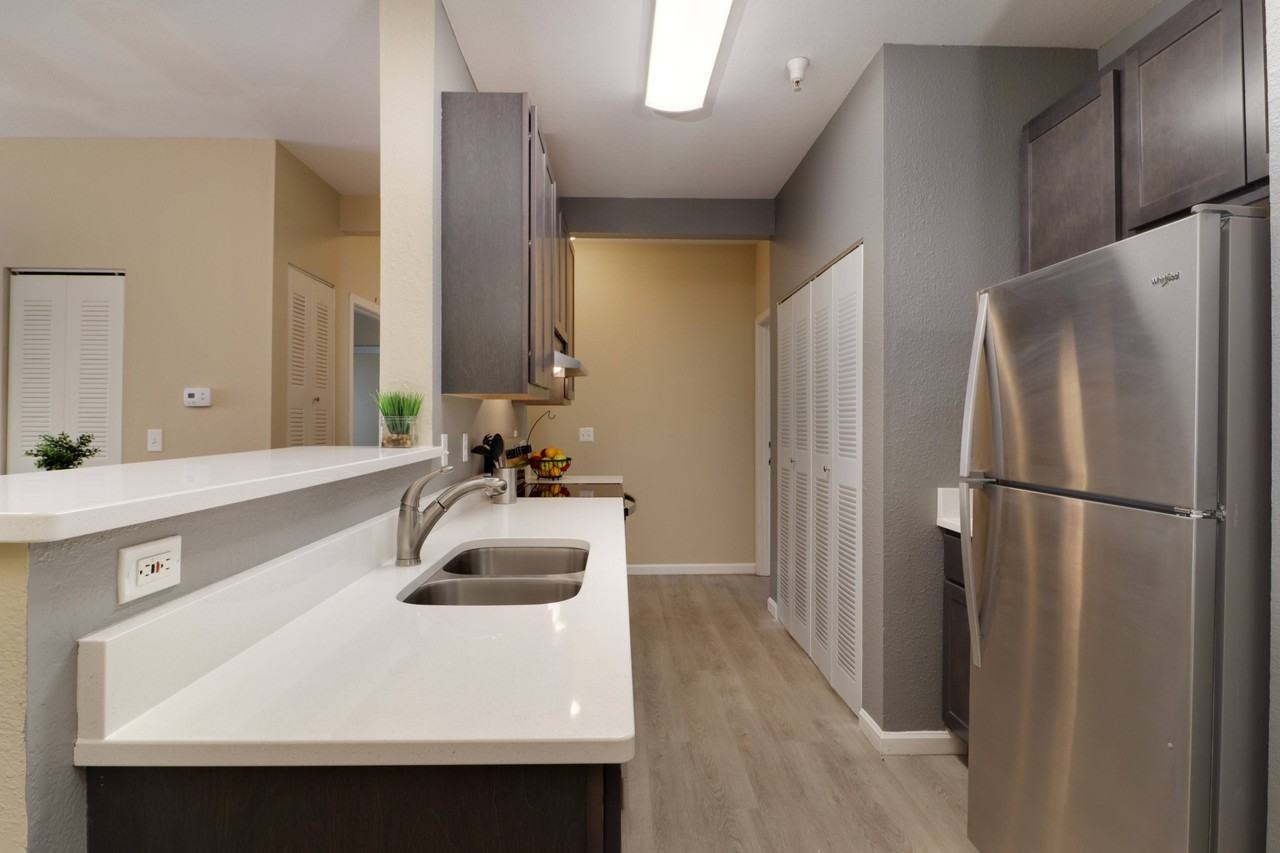 The Social Normal - Photo 3 of 26