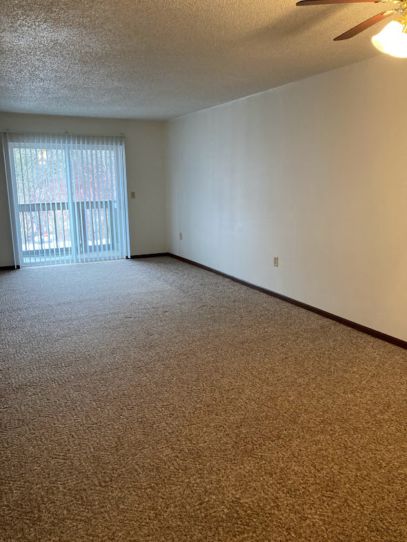 803 Roundhouse Addition #107 - Photo 4 of 16