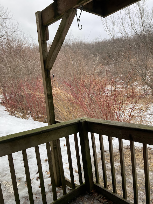 803 Roundhouse Addition #107 - Photo 5 of 16