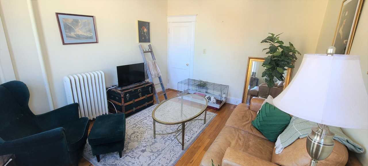 217 Kelton St #6 - Photo 2 of 8