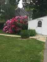 featured image of 84 Court Street #1