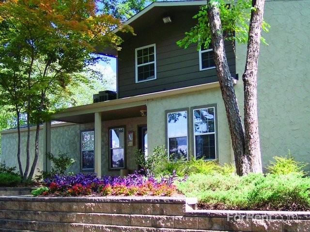 Pinetree - Photo 2 of 14