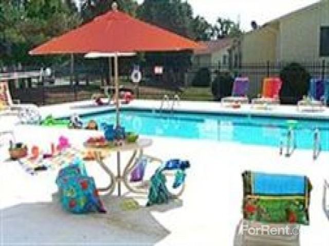 Pinetree - Photo 3 of 14