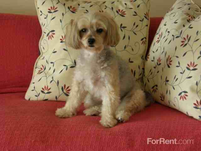 Aspen Park Apartments - Photo 2 of 20