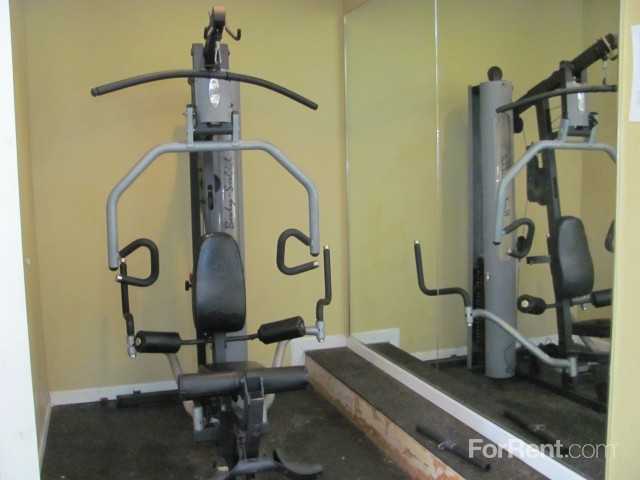 Misty Woods - Photo 3 of 44